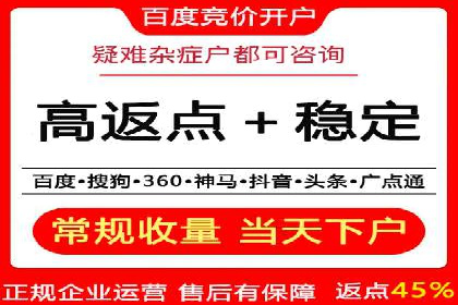 电商SEM推广案例解析